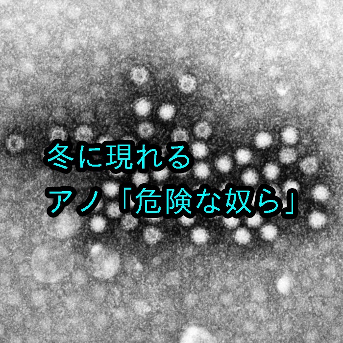 （尾道・福山で少子高齢化対策に関わるデイサービス看護師）アノ危険な冬の脅威から身を守る為の６つのポイントとは！