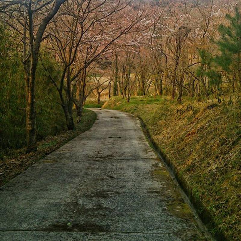 夢に出る福山市東村町の、いち風景