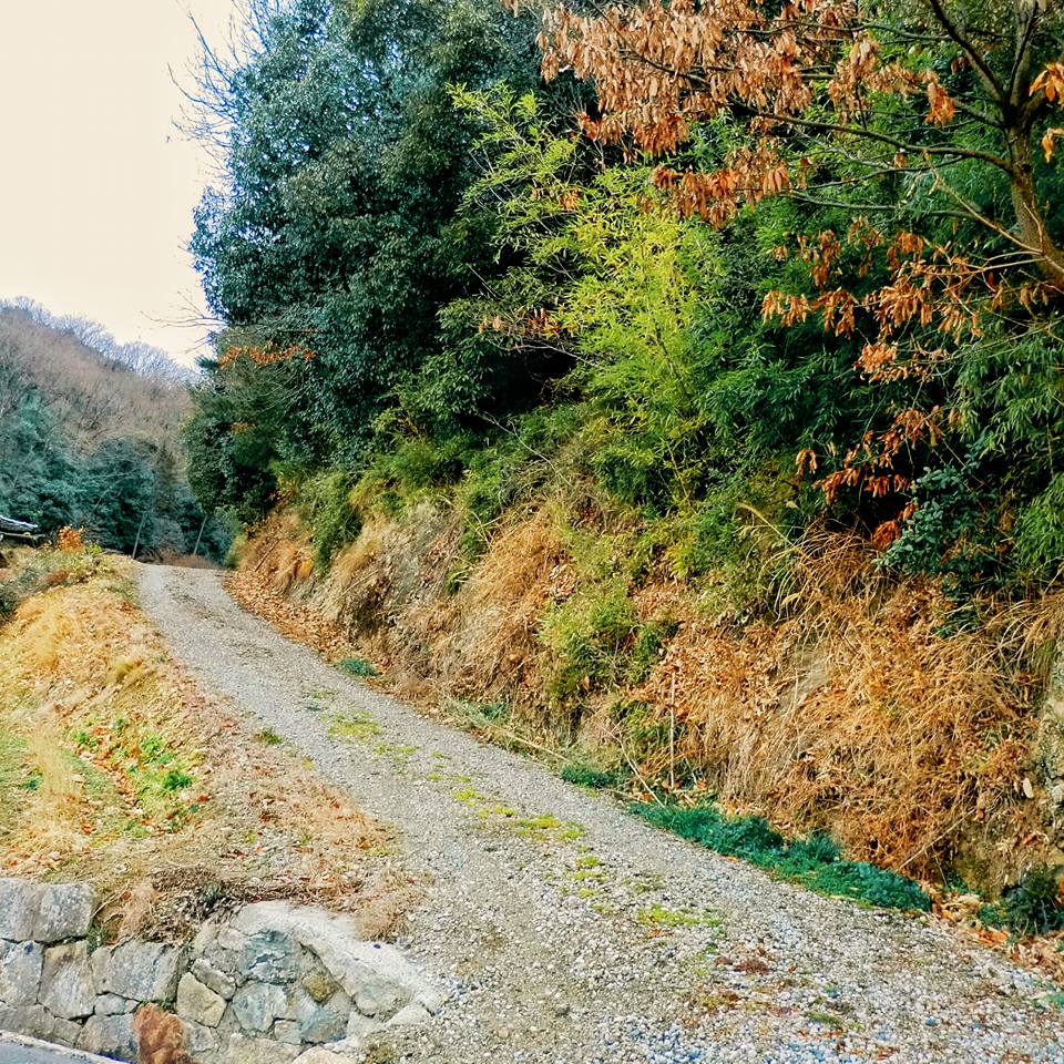 福山市東村町の八幡神社